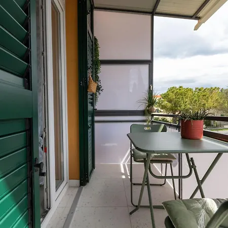 The Linden Tree Apartment